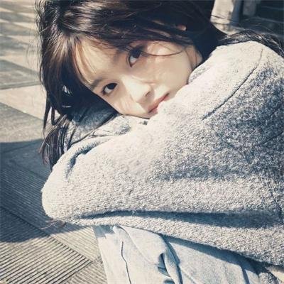 Go！Go！小小车向前冲第二季