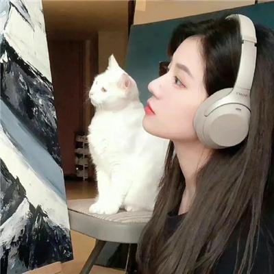 我能看见成功率